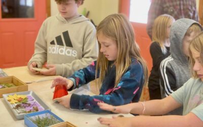 Week 10 Classroom News