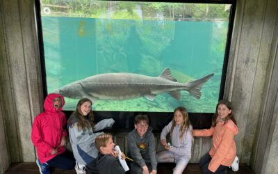 Week 33 Classroom News
