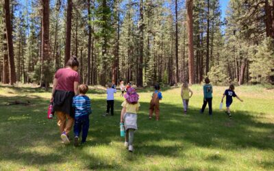 Week 34 Classroom News