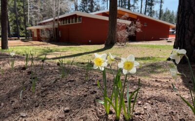 Open House June 5, 2025