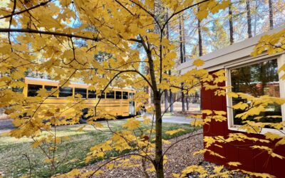 25-26: Week 9 Classroom News