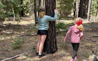 25-26: Week 28 Classroom News